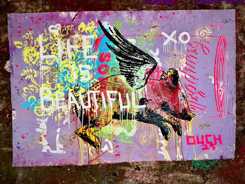 Pig Angel XO