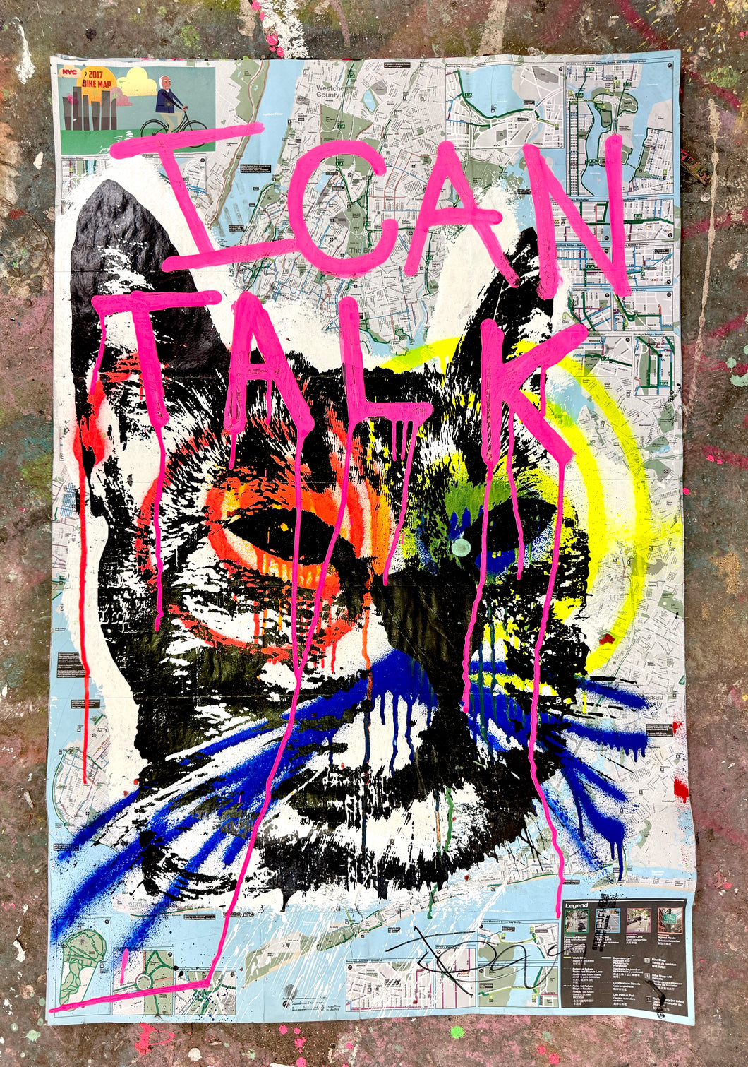 I CAN TALK CAT