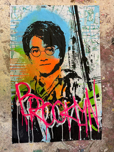 Harry Brooklyn Potter