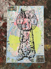 Load image into Gallery viewer, Saint Bunny

