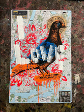 Load image into Gallery viewer, Saint Pigeon
