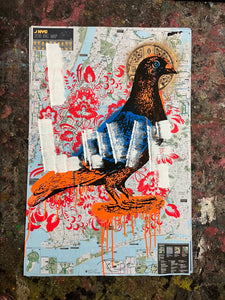Saint Pigeon