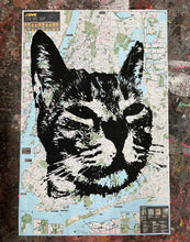 Load image into Gallery viewer, Talking Cat
