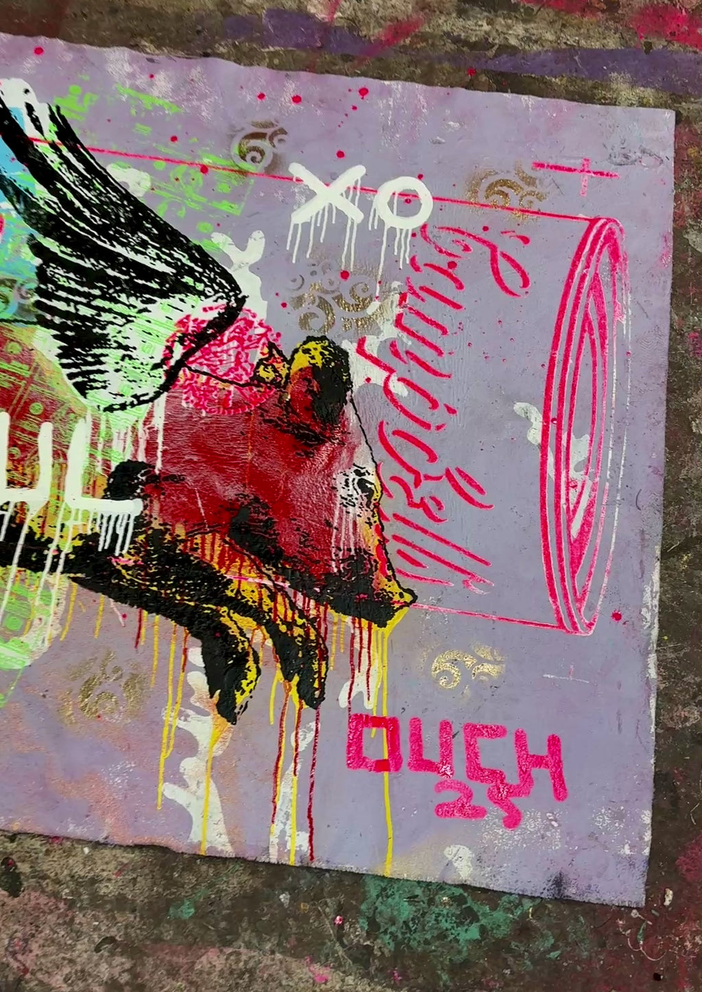 Pig Angel XO
