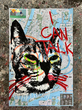 Load image into Gallery viewer, Talking Cat
