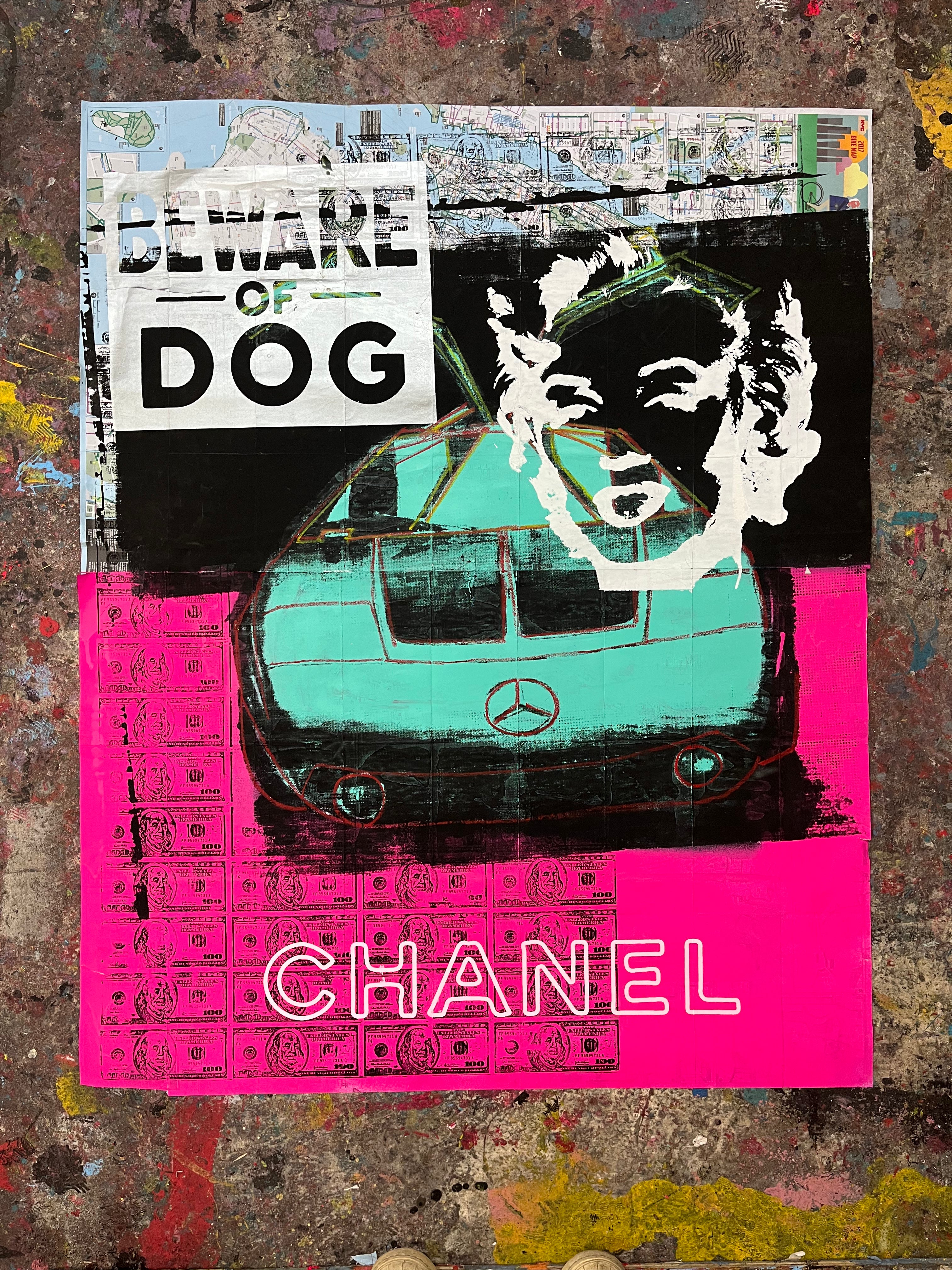 Beware Of Dog Merlyn