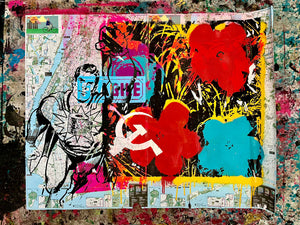 Fleurs De Warhol Et Super Man